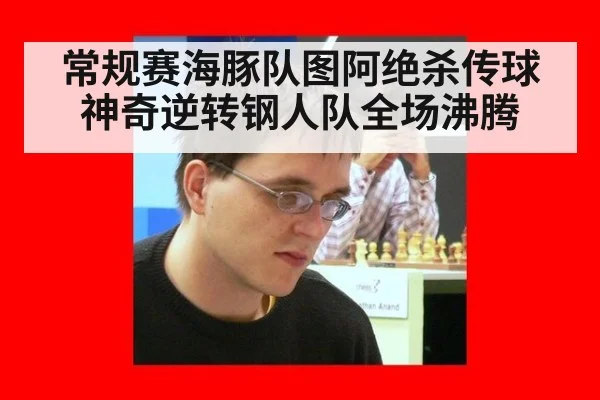 常规赛海豚队图阿绝杀传球神奇逆转钢人队全场沸腾